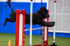 2023-AADTC-April-Trial-2139