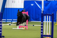 2023-AADTC-April-Trial-2141