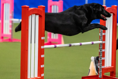 2023-AADTC-April-Trial-2142