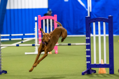 2023-AADTC-April-Trial-2145