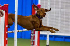 2023-AADTC-April-Trial-2146