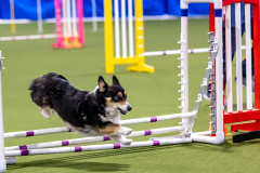 2023-AADTC-April-Trial-215