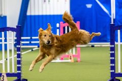 2023-AADTC-April-Trial-2150