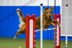 2023-AADTC-April-Trial-2151