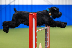 2023-AADTC-April-Trial-2152