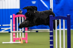 2023-AADTC-April-Trial-2153