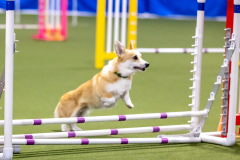 2023-AADTC-April-Trial-217