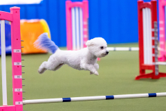 2023-AADTC-April-Trial-218