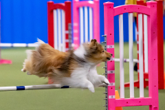 2023-AADTC-April-Trial-220