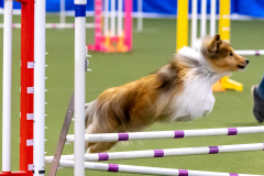 2023-AADTC-April-Trial-221