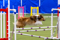 2023-AADTC-April-Trial-227