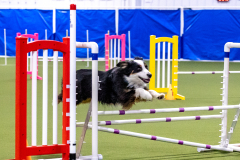 2023-AADTC-April-Trial-230