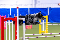 2023-AADTC-April-Trial-234