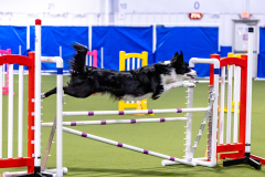 2023-AADTC-April-Trial-236