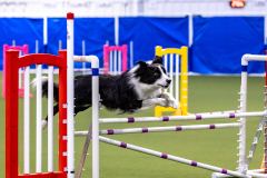 2023-AADTC-April-Trial-240