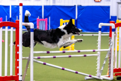 2023-AADTC-April-Trial-242