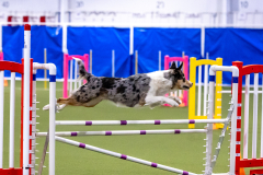 2023-AADTC-April-Trial-243