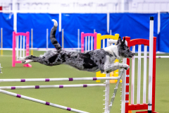 2023-AADTC-April-Trial-245