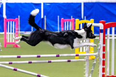 2023-AADTC-April-Trial-248