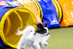 2023-AADTC-April-Trial-251