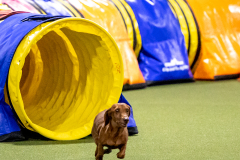 2023-AADTC-April-Trial-253