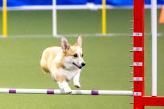 2023-AADTC-April-Trial-254