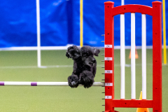 2023-AADTC-April-Trial-255