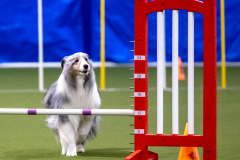 2023-AADTC-April-Trial-256