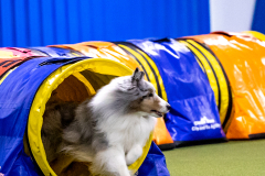 2023-AADTC-April-Trial-257