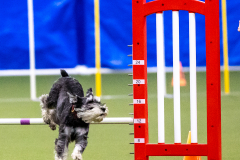 2023-AADTC-April-Trial-260