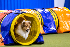 2023-AADTC-April-Trial-264