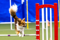 2023-AADTC-April-Trial-266