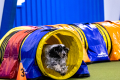 2023-AADTC-April-Trial-270