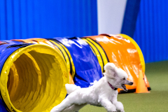 2023-AADTC-April-Trial-275