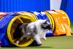 2023-AADTC-April-Trial-277