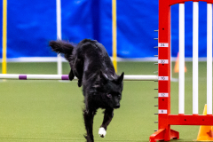 2023-AADTC-April-Trial-278