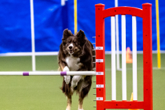 2023-AADTC-April-Trial-280