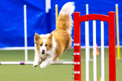 2023-AADTC-April-Trial-283