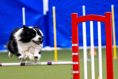 2023-AADTC-April-Trial-284