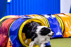 2023-AADTC-April-Trial-285