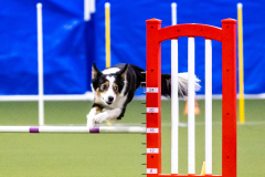 2023-AADTC-April-Trial-286