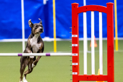 2023-AADTC-April-Trial-288