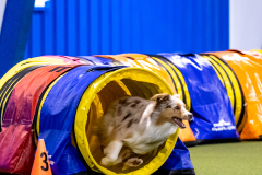 2023-AADTC-April-Trial-291