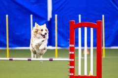 2023-AADTC-April-Trial-292