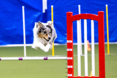 2023-AADTC-April-Trial-295