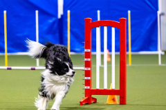 2023-AADTC-April-Trial-296