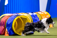 2023-AADTC-April-Trial-297