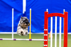 2023-AADTC-April-Trial-299