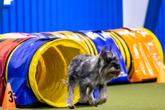 2023-AADTC-April-Trial-300