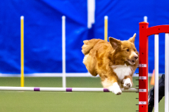 2023-AADTC-April-Trial-301